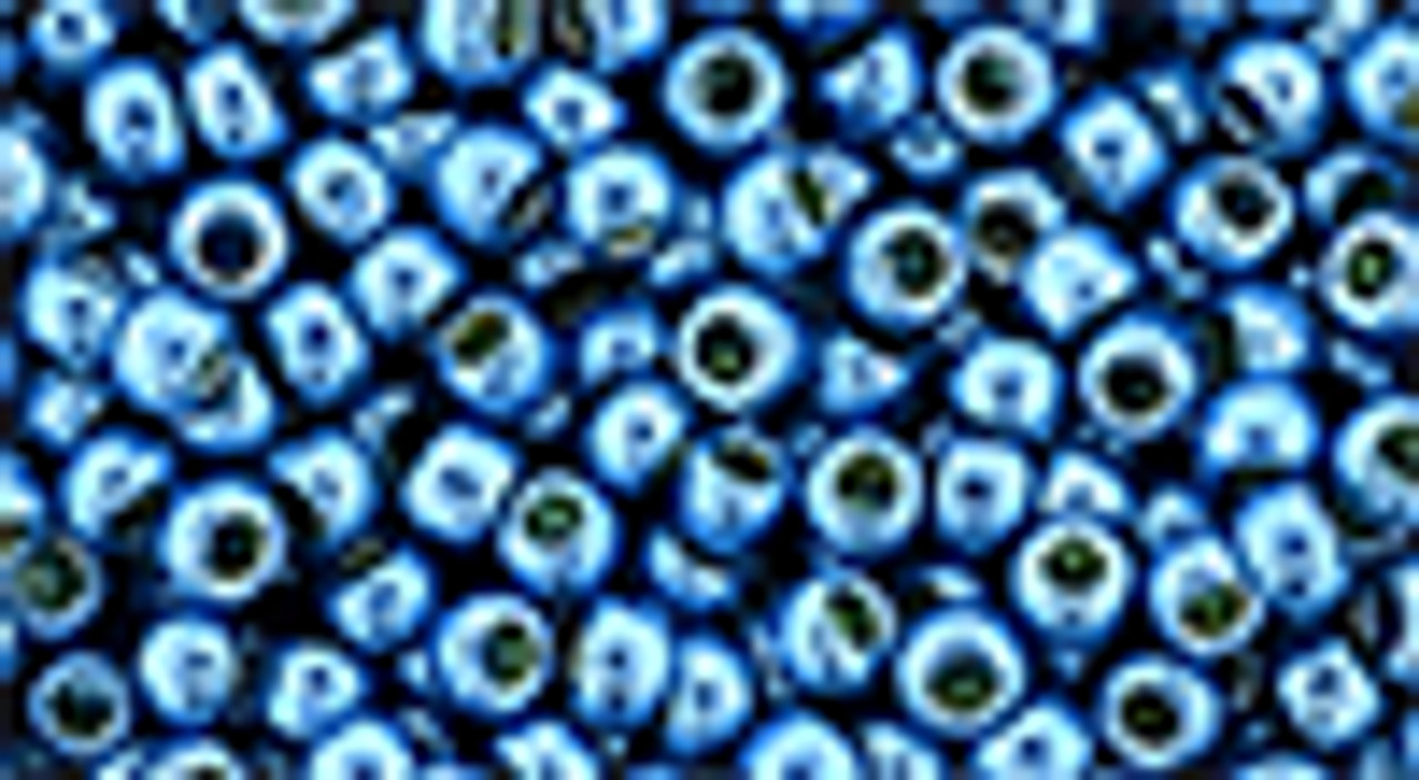 beads様 6/0 Seed Beads Metallic Finishes Miyuki or Toho Choose color