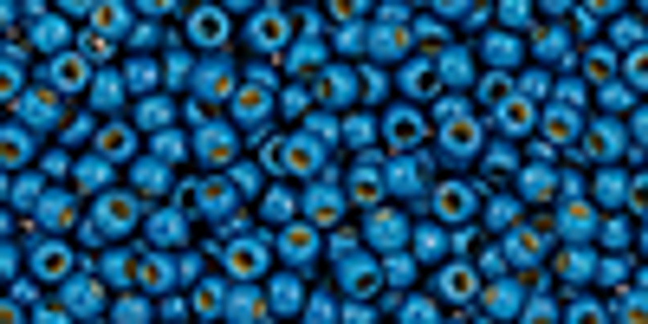 11/0 Permafinish Matte Galvanized Turkish Blue Toho Seed Beads (20 Grams) 11-PF584F