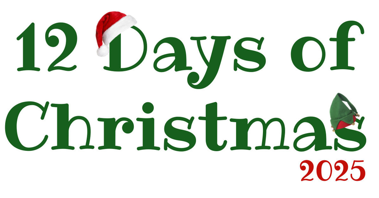 12 Days of Christmas Promotion coming soon!
