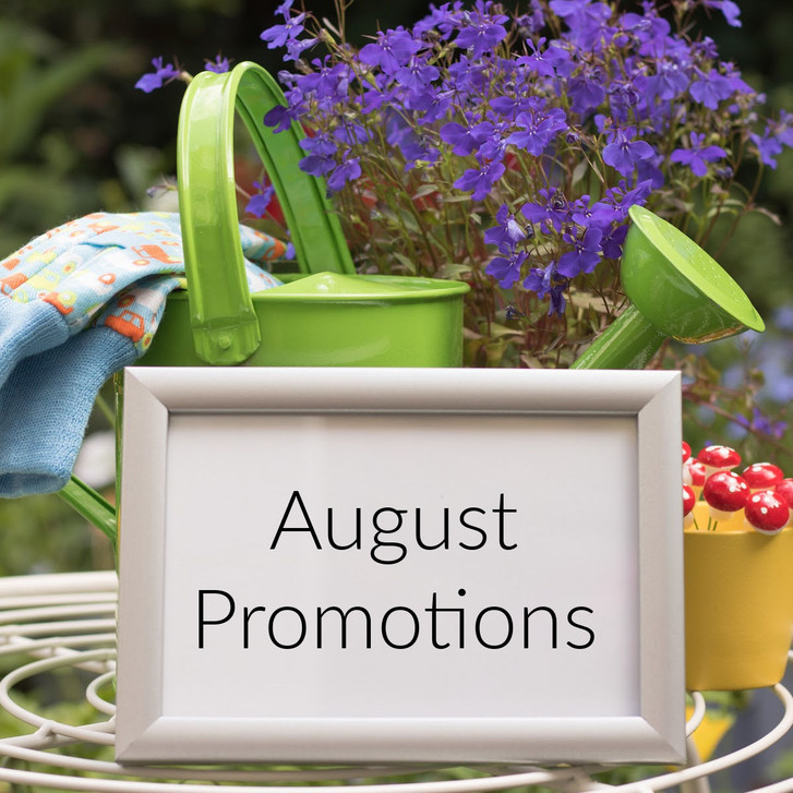 August 2026 Promotions