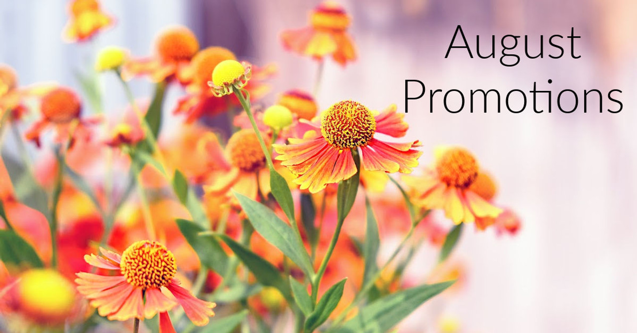 August Promotions