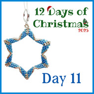12 Days of Christmas - Day 11