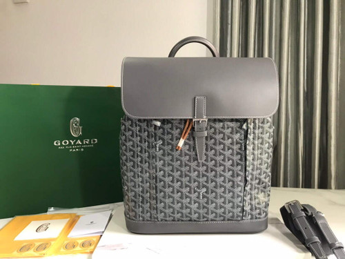 Goyard ALPIN2MMLTY Alpin MM Backpack Gray