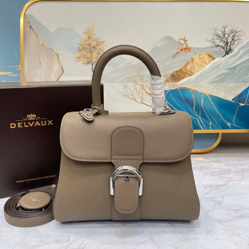 Delvaux AA0569 Brillant PM in Rodeo Calf Gray