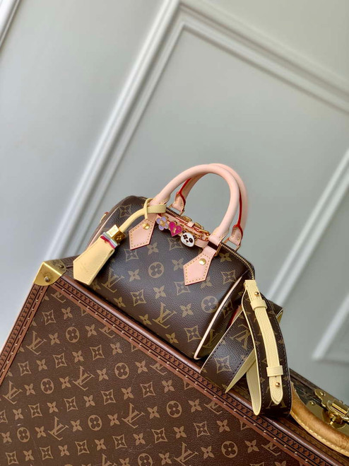 LV M46970 Louis Vuitton Nano SPEEDY 18 Monogram