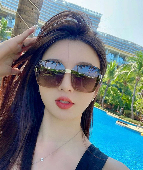 Dior Classic Sunglasses Fashion D3200