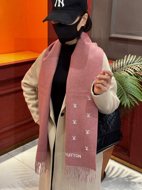 Louis Vuitton Fashion Double-faced Cashmere Scarf L39043