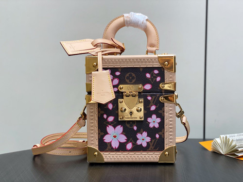 LV M10079 Louis Vuitton Camera Box Handbag Monogram Canvas Pink