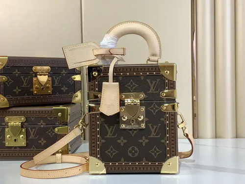 LV M10079 Louis Vuitton Camera Box Handbag Monogram Canvas