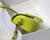 Dior M9327 dior Bobby bag East West Box Calfskin Yellow