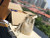 LV M45716 Louis Vuitton NÉONOÉ BB Bag