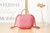 Chanel Small Vanity Case Lambskin gold-tone metal AS3066 pink