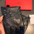 Valentino Women's Gloves Designer Leather Gloves V88520