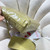 Chanel 22 Handbag Shiny Calfskin AS3261 Light Green