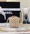 Chanel AS3769 MINI EVENING Bag Imitation Pearls & Gold-Tone Metal White & Multicolor