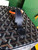Goyard MUSEVAPMLTY01CL03P Muse Vanity Case PM Bag Black