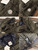 Moncler Short Classic Down Jacket M68741