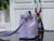 LV M81463 Louis Vuitton NANO NOÉ Bucket Bag Lilas Purple