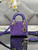 Dior S0856 MICRO LADY BAG Horizon Metallic Cannage Lambskin embroidery beads Purple