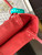 Goyard ANJOUSMINCG07TY07P Anjou Mini Bag Red