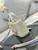Dior S0910 Micro Lady D-joy Bag Silver-Tone Satin with Gradient Bead Embroidery