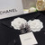 Chanel Earring Fashion Jewelry CC31830