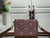 LV M57172 Louis Vuitton Since 1854 Dauphine Mini Monogram Jacquard Red - luxibagsmall