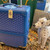 Goyard BOURG2PMLTY01CL03P Bourget PM Trolley Case G99016 Blue