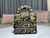 Dior M0500 MINI Lady D-LITE Bag Beige Multicolor Mizza Embroidery