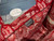 Dior Book Tote M1296 Medium Toile de Jouy Embroidery M0081