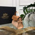 Delvaux AA0617 Tempête Crush Bag caramel and pink