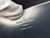 Louis Vuitton M90566 LV Wynwood Monogram Vernis Bag M90516 Gray - Voguebags