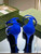 Gucci 749832 Women's High Heel Sandals With Crystals G38278