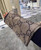 Gucci Scarves Fashion Scarf G58361