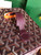 Goyard MUSEVAPMLTY01CL03P Muse Vanity Case PM Bag Wine Red