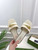 Gucci 750509 Women's Slide Sandal With Hardware G38284