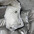 Moncler H20931C Women's Gaou Down Jacket Silver 88622