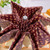 Louis Vuitton Fashion Folding Sun Umbrella L557352