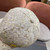 Chanel Hat Designer Chanel Baseball Cap C88139