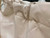 Chanel 22 AS3260 Small Handbag Shiny Calfskin Apricot