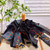 Gucci Fashion Folding Sun Umbrella C854303