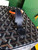 Goyard MUSEVAPMLTY01CL03P Muse Vanity Case PM Bag Navy Blue
