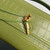 Bottega Veneta BV 741511 Long Clutch Andiamo With Handle Emerald Crocodile-grain Lambskin leather Lemon Green