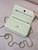 Chanel AP0250 Wallet on Chain Calfskin Light Green