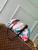 Louis Vuitton  LV M29185 SS26 Collection Squire East West Autres Toiles Other Monogram Canvas