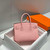 Hermes Mini Birkin Designer Tote Bag Togo Leather 20CM H28405