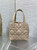 Dior M2835 Small Dior Toujours Vertical Tote Bag Apricot Macrocannage Calfskin