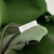 Bottega Veneta BV 806034V4SJ12250 Medium Liberta Bag Green