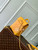 LV M12655 Louis Vuitton Nano Steamer Bag Yellow