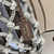 Prada Noué medium cotton macramé bag 1BC111 Gray